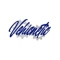 Vehicnetic LLC logo, Vehicnetic LLC contact details