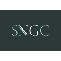 SNG Consultants logo, SNG Consultants contact details