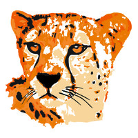 Sasiani African Safaris logo, Sasiani African Safaris contact details