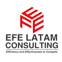 EFE Latam Consulting logo, EFE Latam Consulting contact details