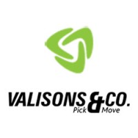 Valisons & Co. logo, Valisons & Co. contact details