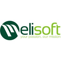 Melisoft.vn logo, Melisoft.vn contact details