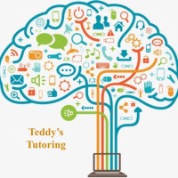 Teddy's Tutoring logo, Teddy's Tutoring contact details