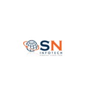 SN InfoTech logo, SN InfoTech contact details