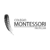 Colegio Montessori Frutillar logo, Colegio Montessori Frutillar contact details