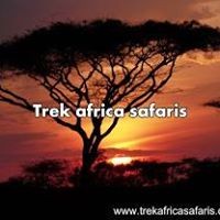 Trek Africa Safaris logo, Trek Africa Safaris contact details