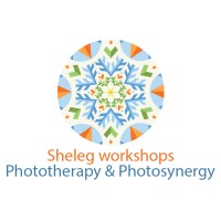 Shelegworkshops logo, Shelegworkshops contact details