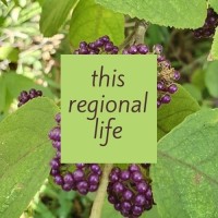 This Regional Life logo, This Regional Life contact details