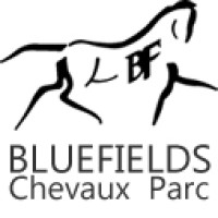 Bluefields Stud logo, Bluefields Stud contact details