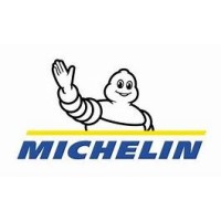 Michelin Uruguay (Liepsi SA) logo, Michelin Uruguay (Liepsi SA) contact details