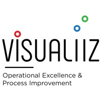 Visualiiz Management Consulting Inc. logo, Visualiiz Management Consulting Inc. contact details