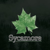 Sycamore Financial logo, Sycamore Financial contact details