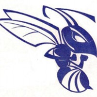 Deep Creek High School logo, Deep Creek High School contact details