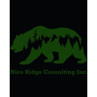 Nico Ridge Consulting Inc logo, Nico Ridge Consulting Inc contact details