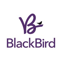 BlackBird Marketing and Consulting logo, BlackBird Marketing and Consulting contact details