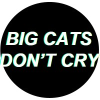 Big Cats Don't Cry Productions logo, Big Cats Don't Cry Productions contact details