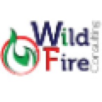 Wild Fire Consulting logo, Wild Fire Consulting contact details