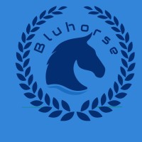 Bluhorse Consultancy logo, Bluhorse Consultancy contact details