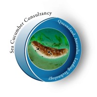 Seacucumber Consultancy pty. Ltd. logo, Seacucumber Consultancy pty. Ltd. contact details