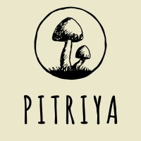 Pitriya logo, Pitriya contact details