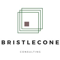 Bristlecone Consulting logo, Bristlecone Consulting contact details