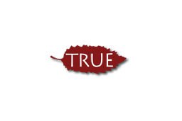 True Aveda Salon logo, True Aveda Salon contact details