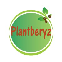 Plantberyz Foods logo, Plantberyz Foods contact details