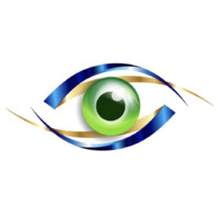 Singh Vision logo, Singh Vision contact details