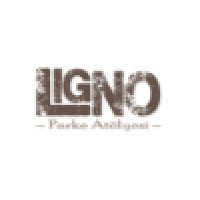 LİGNO PARKE logo, LİGNO PARKE contact details