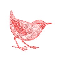 Red Canary Marketing logo, Red Canary Marketing contact details