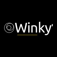 Winky' Brasil logo, Winky' Brasil contact details