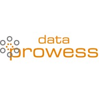 Data Prowess logo, Data Prowess contact details