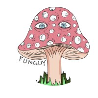 Funguy logo, Funguy contact details