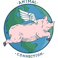 Animalconnection.info logo, Animalconnection.info contact details