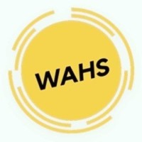 The Wahs Laundry solution logo, The Wahs Laundry solution contact details