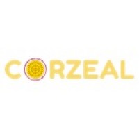 Corzeal Solutions logo, Corzeal Solutions contact details