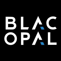 Blac Opal Talent Collective logo, Blac Opal Talent Collective contact details