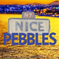 Nice Pebbles Properties logo, Nice Pebbles Properties contact details