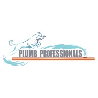 Plumb Professionals logo, Plumb Professionals contact details