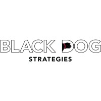 Black Dog Strategies logo, Black Dog Strategies contact details