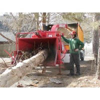 Toronto Tree Removal logo, Toronto Tree Removal contact details