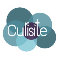 Curisite LLC logo, Curisite LLC contact details