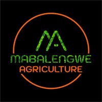 Mabalengwe Agriculture logo, Mabalengwe Agriculture contact details