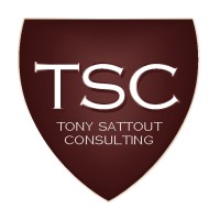 Tony Sattout Consulting logo, Tony Sattout Consulting contact details