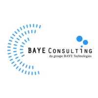 BAYE Consulting logo, BAYE Consulting contact details