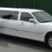 Your Limousine logo, Your Limousine contact details