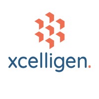 Xcelligen Inc logo, Xcelligen Inc contact details