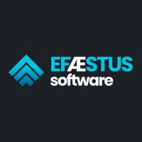 Efaestus Software and Tech. Inc. logo, Efaestus Software and Tech. Inc. contact details