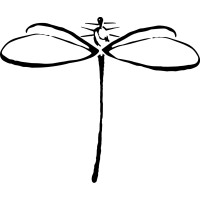 DRAGONFLY CO. logo, DRAGONFLY CO. contact details