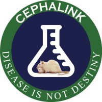 Cephalink Institute logo, Cephalink Institute contact details